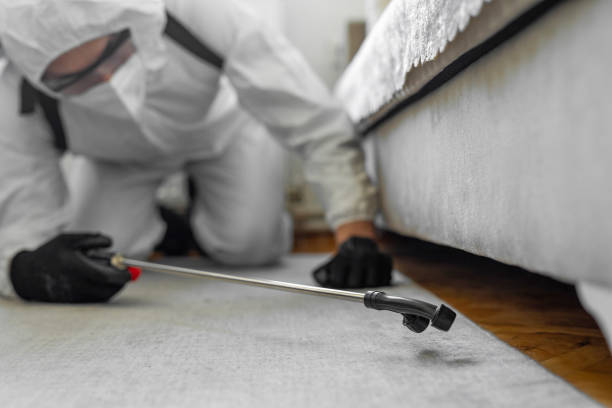 Professional Bed Bug Control technician working in Wellington, KS