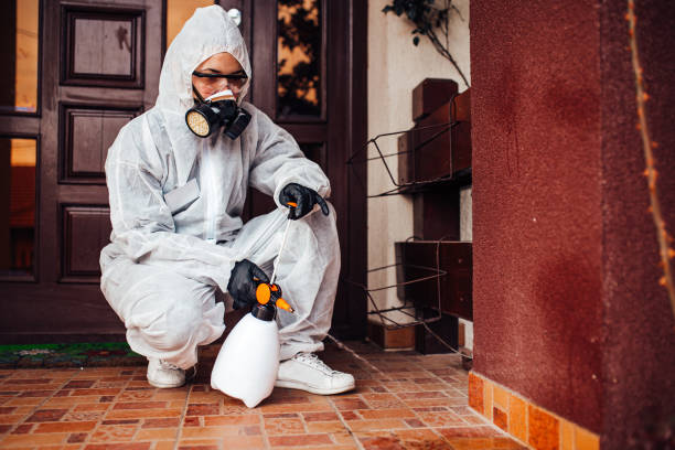 Reliable Bed Bug Control contractor in Wellington, KS by Nex Pest Control