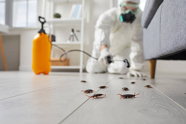 Trusted Cockroach Control service in Wellington, KS - Nex Pest Control